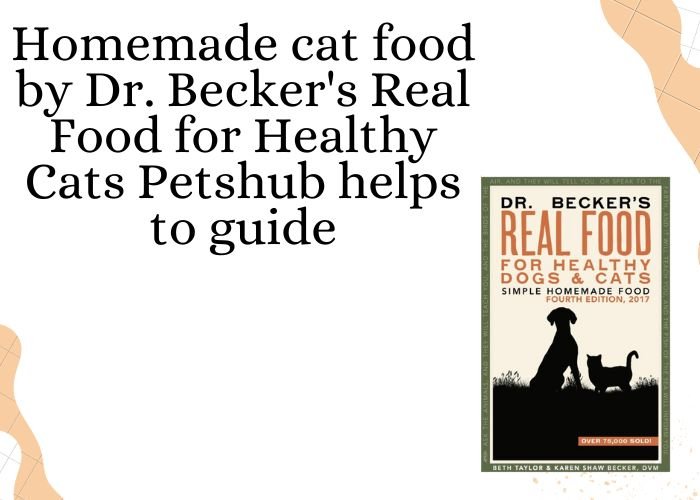 homemade cat food recipes homemade cat food recipes homemade cat food to gain weight homemade cat food to gain weight homemade food for cats homemade food for cat