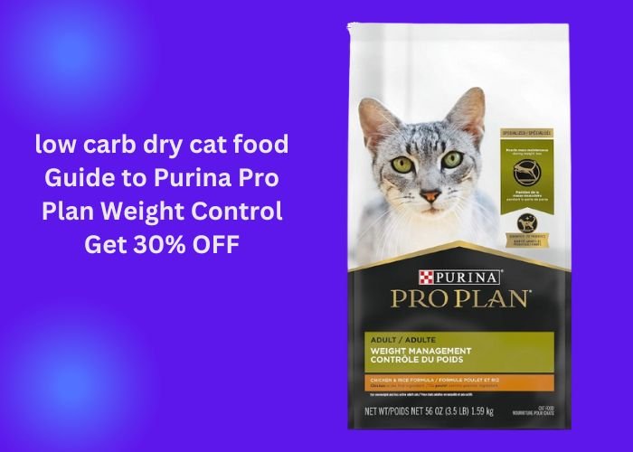 best dry cat food for indoor cats freeze dried cat food freeze dried raw cat food best dry cat food for kittens low carb dry cat food